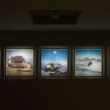 Lido