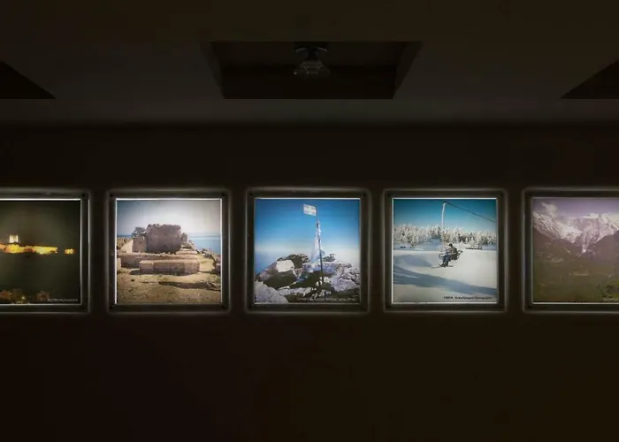 Lido